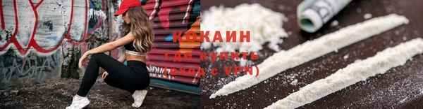 прущие грибы Абинск