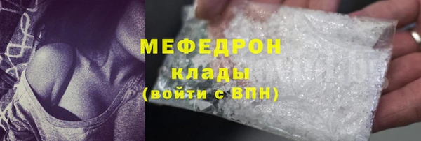 СК Алексин