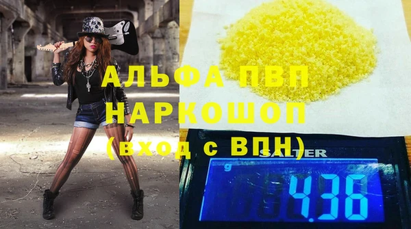 СК Алексин