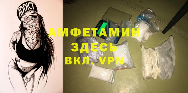 СК Алексин
