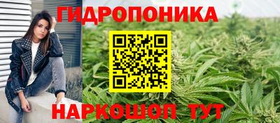 тгк Лесосибирск
