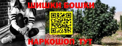 индика Ливны