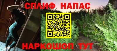 индика Ливны