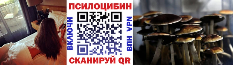 Псилоцибиновые грибы Cubensis Когалым