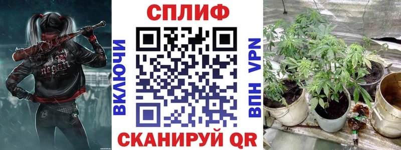 MEGA маркетплейс  Когалым  Бошки марихуана THC 21% 